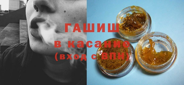 сатива Верея