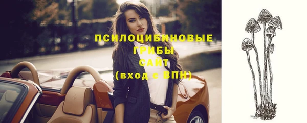 мяу мяу мука Верхнеуральск