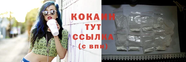 стаф Володарск