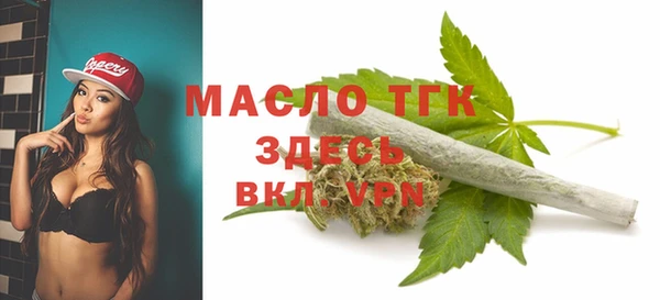 сатива Верея