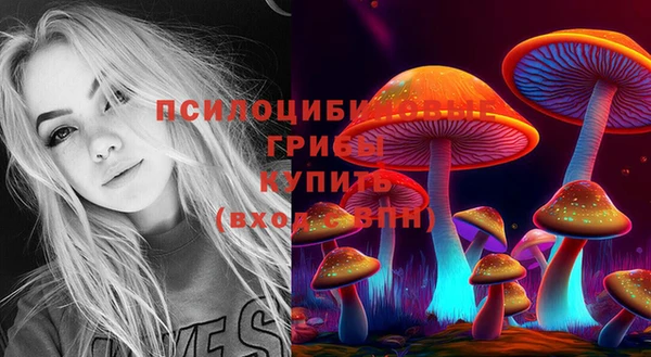 МДМА Волоколамск