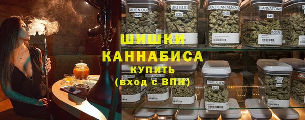 сатива Верея