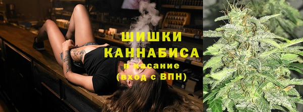 сатива Верея